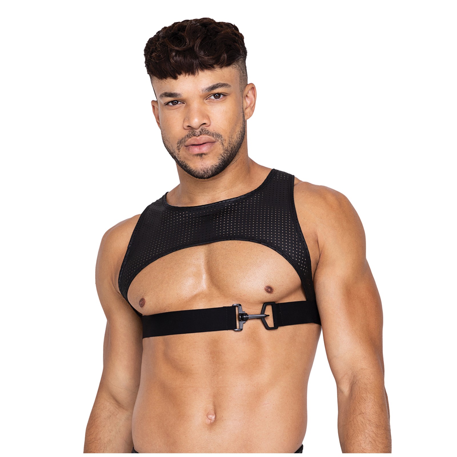 Master Harness with Hook and Ring Closure - Black