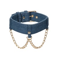 Ride 'Em Premium Denim Collar with Leash