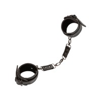 Euphoria Collection Ankle Cuffs