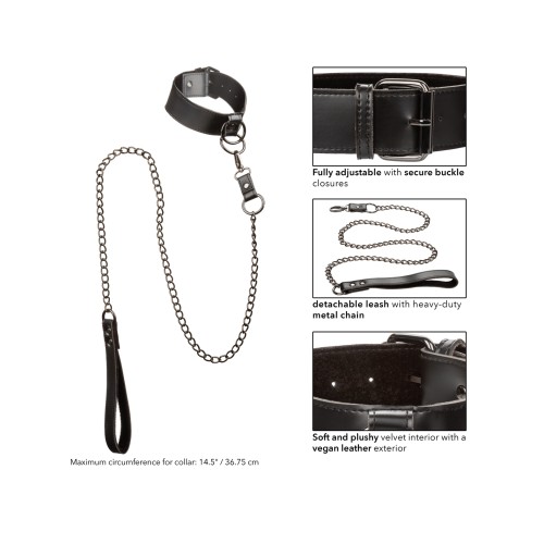 Euphoria Collection Collar Chain Leash