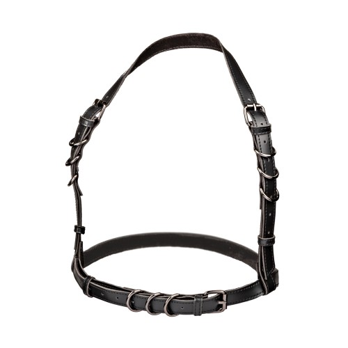 Euphoria Collection Halter Buckle Harness