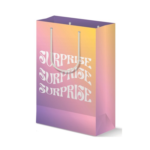 Surprise Gift Bag - Exciting and Stylish Present