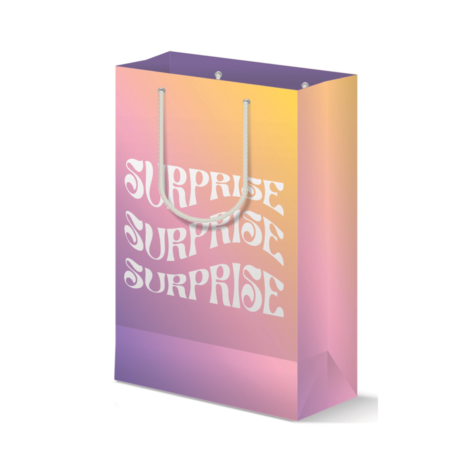 Surprise Gift Bag - Exciting and Stylish Present