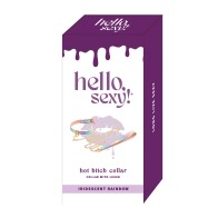 Hello Sexy Hot Bitch Collar and Leash Iridescent Rainbow