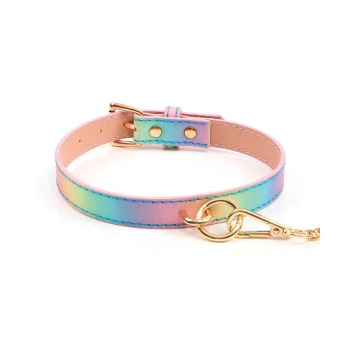 Hello Sexy Hot Bitch Collar and Leash Iridescent Rainbow