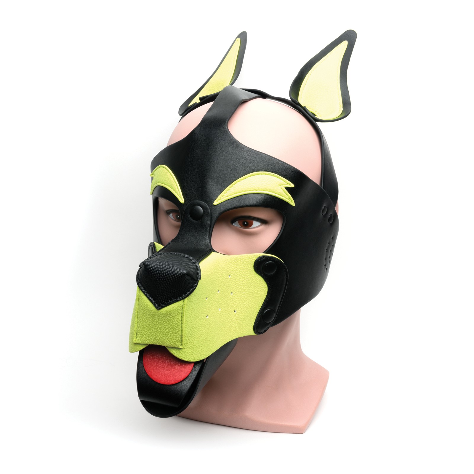 665 Playful Pup Hood - Black/Yellow