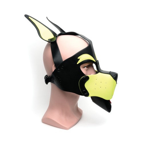 665 Playful Pup Hood - Black/Yellow