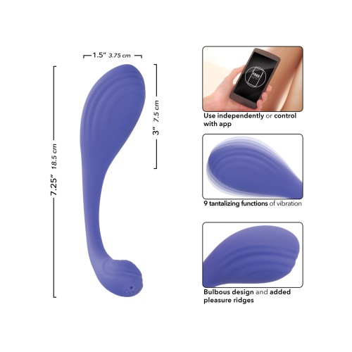 Ejercitador de Kegel Conectado por App CalExotics - Mejora tu Placer