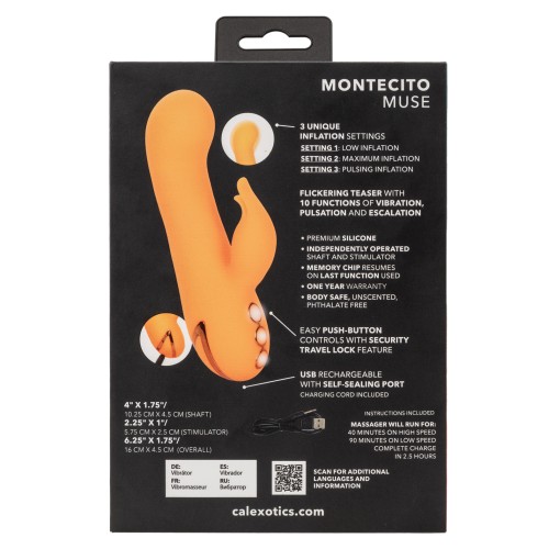 Vibrador California Dreaming Montecito Muse