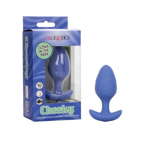 Cheeky Glow in the Dark Vibrating Butt Plug