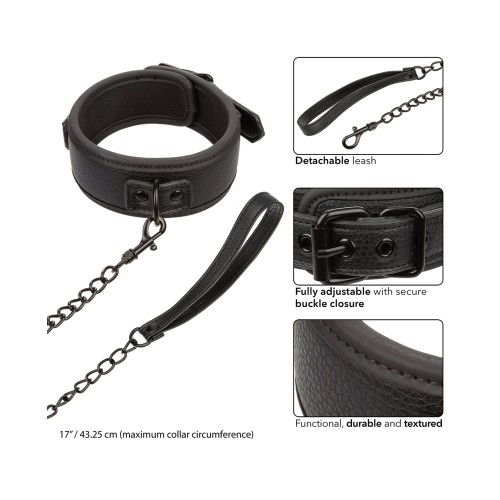 Nocturnal Collection Collar & Leash for Control and Elegance