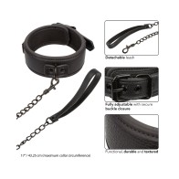 Nocturnal Collection Collar & Leash for Control and Elegance