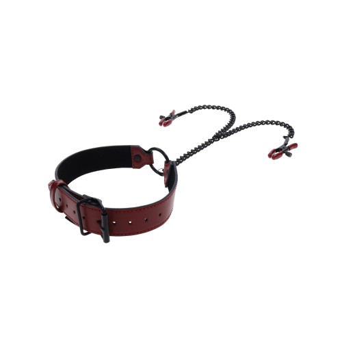 Saffron Collar with Chain Nipple Clamps