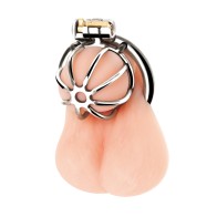 Blue Line Little Cock Chastity Cage Stainless Steel