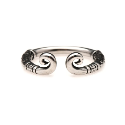 Anillo de Glande de Acero Inoxidable Kingpin 24mm