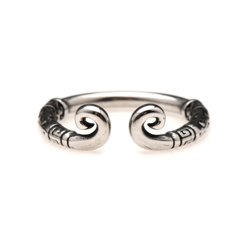 Anillo de Glande Acero Inoxidable Master Series Kingpin