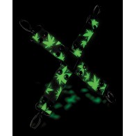 Glow in the Dark Stoner Vibes Hogtie