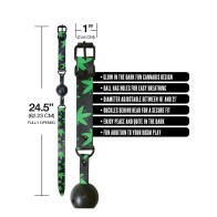 Stoner Vibes Glow in the Dark Ball Gag