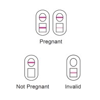 Prueba de Embarazo Versea EasyLab