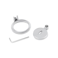 Lockmaster Stainless Steel Inverted Chastity Cage with Cat's Eye