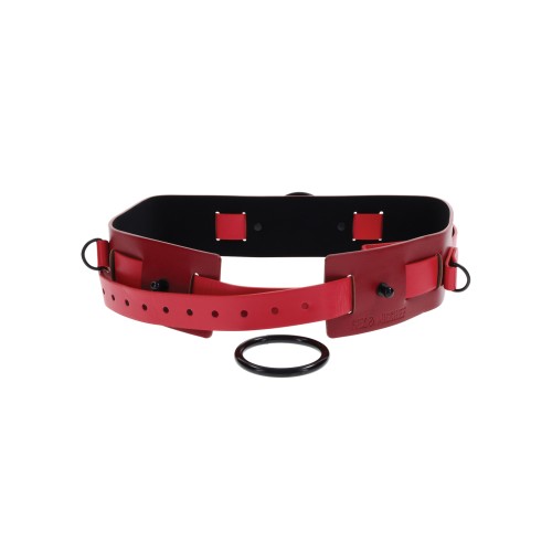 Ex's & Oh's Restraint Belt