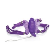 Venus Butterfly 2 Morado