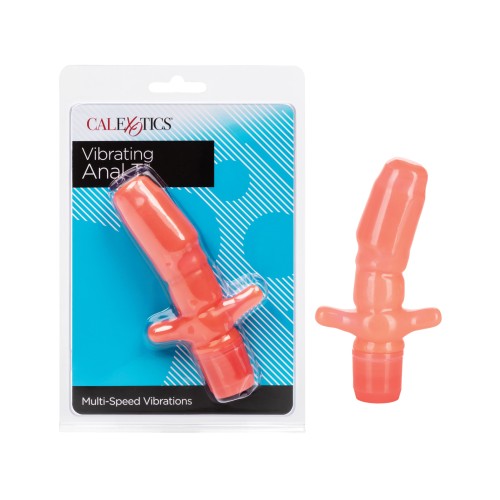 Anal Vibrating T for Intense Pleasure