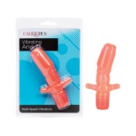 Anal Vibrating T for Intense Pleasure