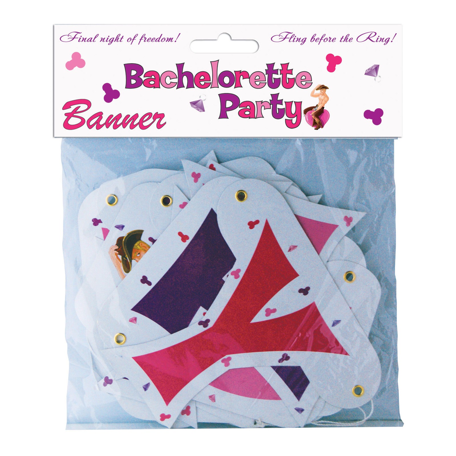 Bachelorette Party Banner for Celebrations