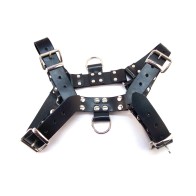 Rouge Over the Head Large Harness Black