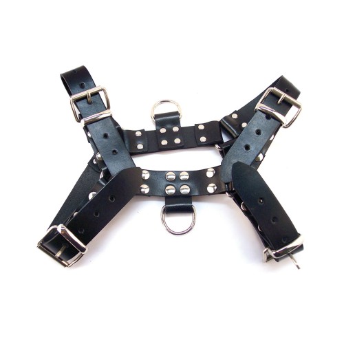 Adjustable Rouge Leather XL Harness