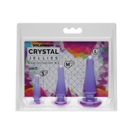 Kit de Iniciación Anal Crystal Jellies Púrpura