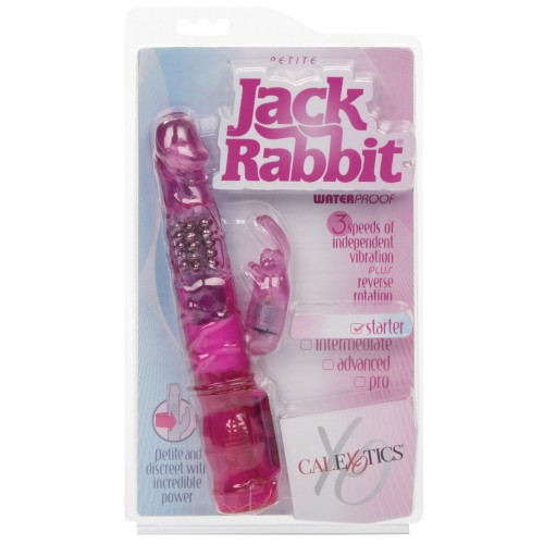 Jack Rabbit Petite - Compact Pleasure Experience