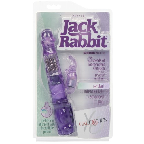 Vibrador Petite Jack Rabbit Púrpura