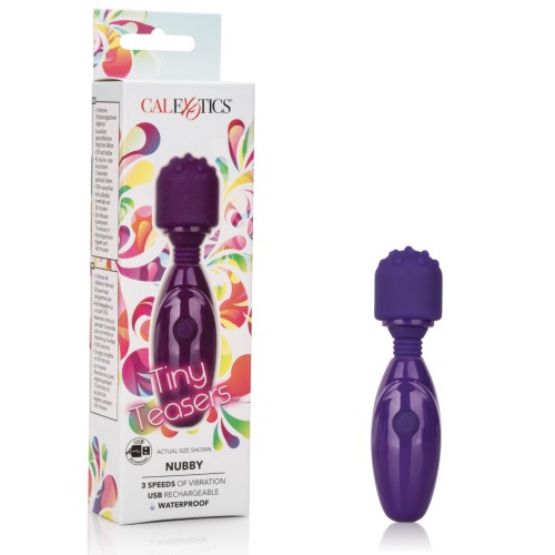 Tiny Teasers Nubby Purple Travel Vibrator