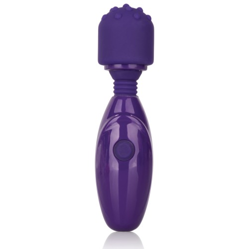 Tiny Teasers Nubby Purple Travel Vibrator