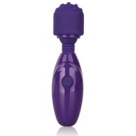 Tiny Teasers Nubby Purple Travel Vibrator