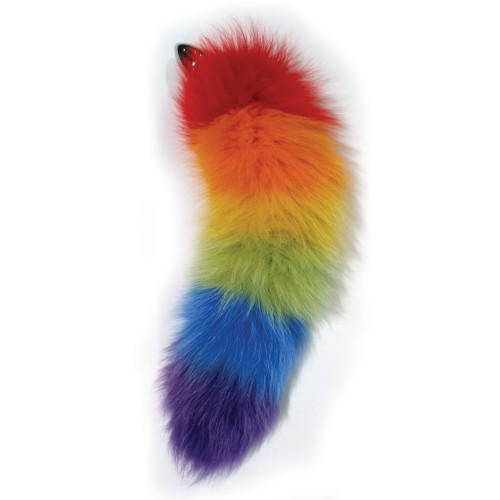 Plug Anal Rainbow Foxy Tail