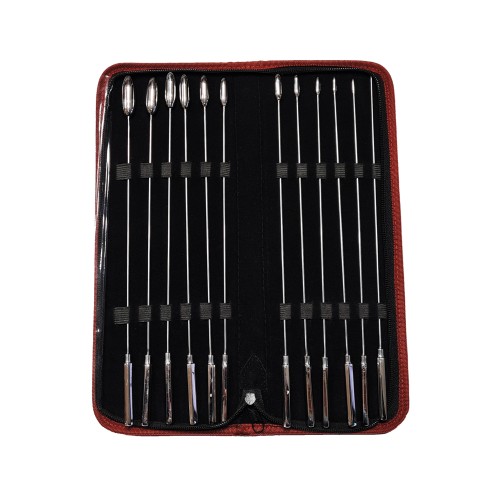 Rouge Stainless Steel Rosebud Dilator Set