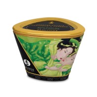 Shunga Massage Candle Zenitude Exotic Green Tea