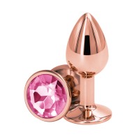 Rear Assets Chrome-Plated Anal Toys for Pleasure