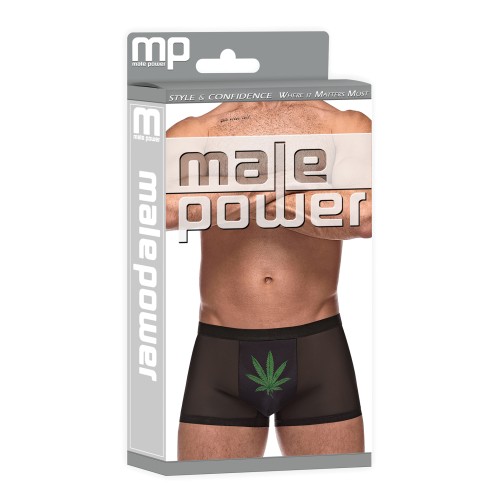 Mini Shorts Micro Mesh Modal Hoja de Cannabis Negro XL