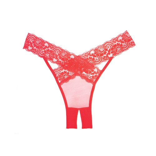 Elegante Panty Deseo Sheer y Encaje Rojo