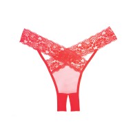 Elegante Panty Deseo Sheer y Encaje Rojo