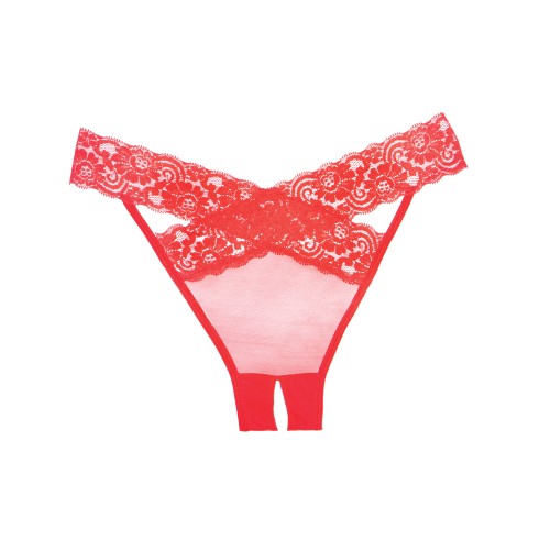 Elegante Panty Deseo Sheer y Encaje Rojo