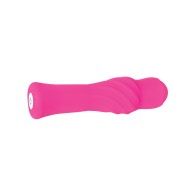 Evolved Twist & Shout Rechargeable Bullet - Pink