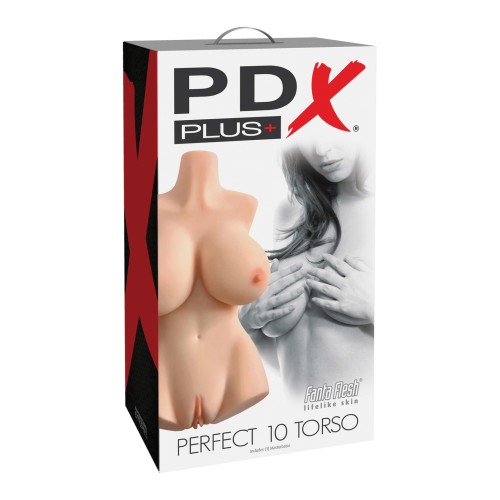 Torso PDX Plus Perfect 10 - Marfil