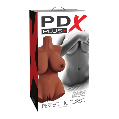 Torso Masculino Realista PDX Plus Perfect 10