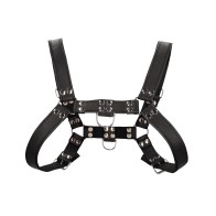 Shots Uomo Chest Bulldog Harness Small/Medium Black