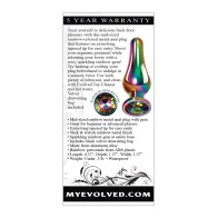 Evolved Rainbow Medium Metal Anal Plug